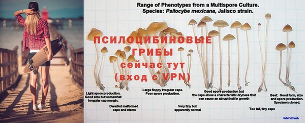 а пвп мука Верхнеуральск